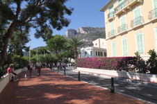 Enlarge photo 50
