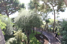 Enlarge photo 51