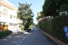 Enlarge photo 54