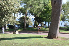 Enlarge photo 56