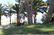 Enlarge photo 57