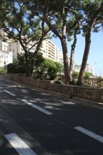 Enlarge photo 65
