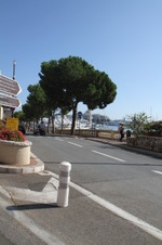 Enlarge photo 66