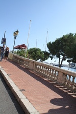 Enlarge photo 67