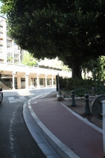 Enlarge photo 75