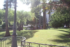 Enlarge photo 78