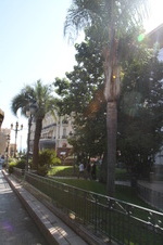 Enlarge photo 80