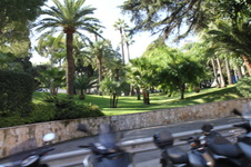 Enlarge photo 88