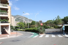 Enlarge photo 96