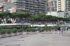 Enlarge photo 120