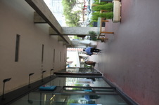 Enlarge photo 135