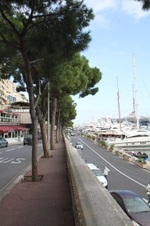 Enlarge photo 146