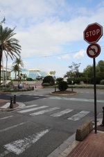 Enlarge photo 184