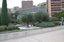Enlarge photo 219
