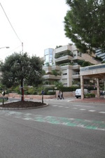Enlarge photo 224