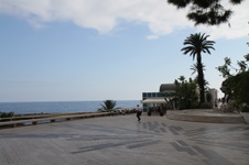 Enlarge photo 226