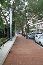 Enlarge photo 229