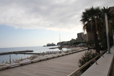 Enlarge photo 235