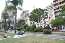 Enlarge photo 237