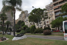 Enlarge photo 239