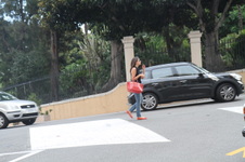 Enlarge photo 260