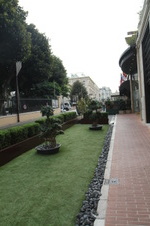 Enlarge photo 266