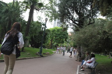 Enlarge photo 277