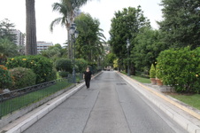 Enlarge photo 279