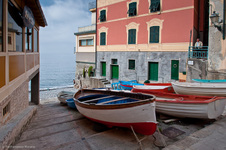 Nervi