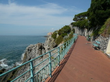 Enlarge photo 3