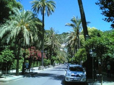 Enlarge photo 12