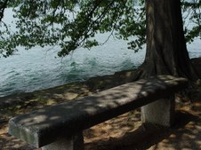 Enlarge photo 28