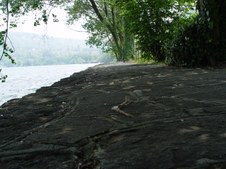 Enlarge photo 33