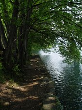 Enlarge photo 34