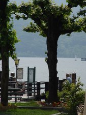 Enlarge photo 46
