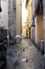 Enlarge photo 3