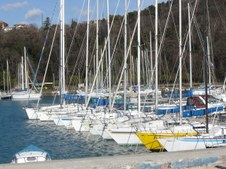 Enlarge photo 46