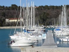 Enlarge photo 45