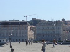 Enlarge photo 25