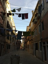 Enlarge photo 73