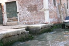 Enlarge photo 54