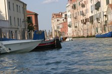 Enlarge photo 57