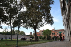 Enlarge photo 60