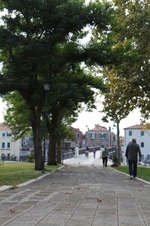 Enlarge photo 61