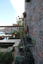 Enlarge photo 75