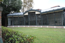 Enlarge photo 81
