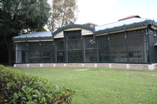 Enlarge photo 82