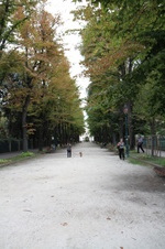 Enlarge photo 83
