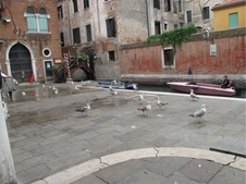 Enlarge photo 16