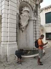 Enlarge photo 67